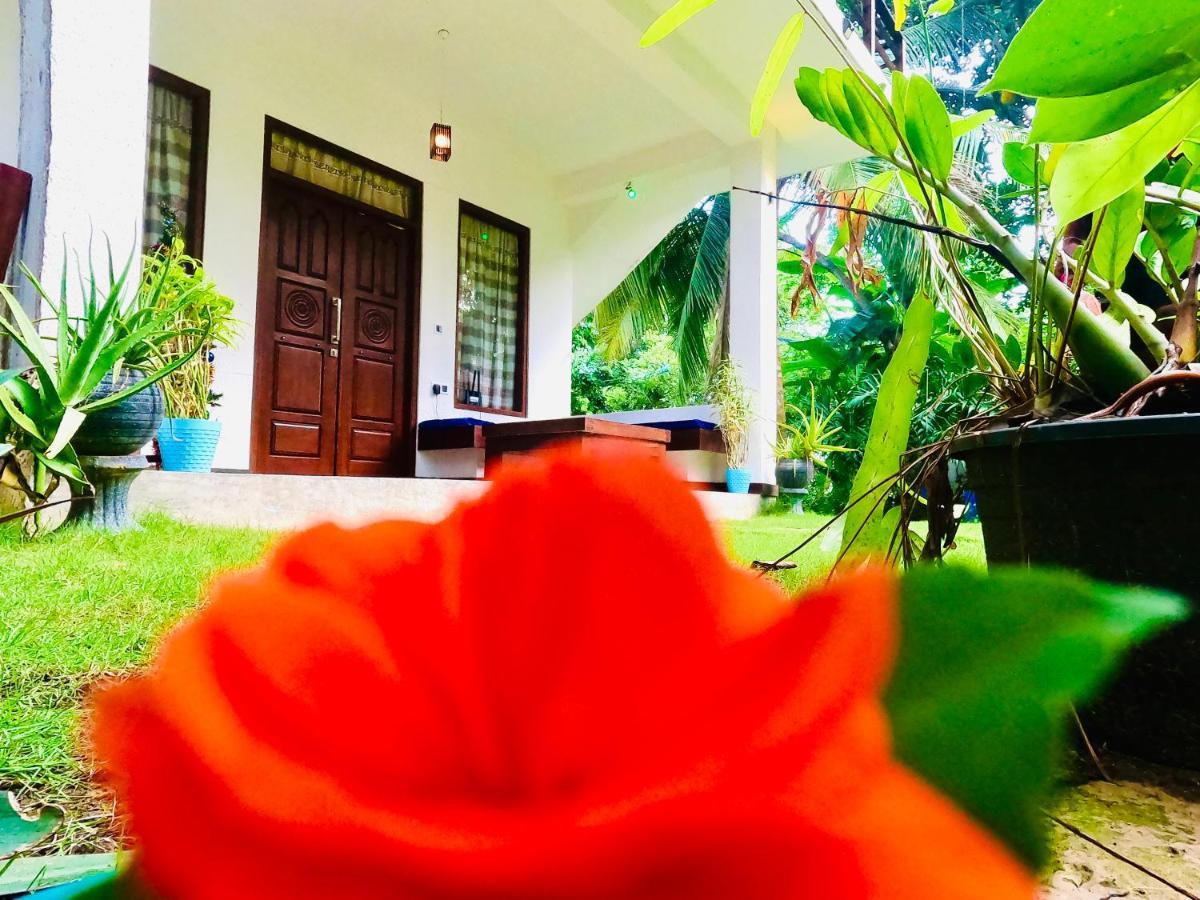 Mountain Seaview Cabanas Tangalle Exterior foto